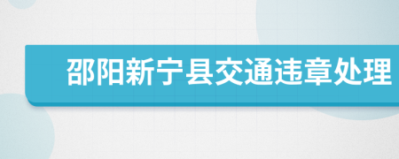 邵阳新宁县交通违章处理