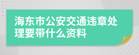 海东市公安交通违章处理要带什么资料