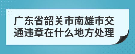 广东省韶关市南雄市交通违章在什么地方处理