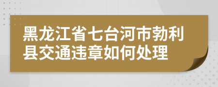 黑龙江省七台河市勃利县交通违章如何处理