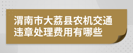 渭南市大荔县农机交通违章处理费用有哪些