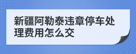 新疆阿勒泰违章停车处理费用怎么交