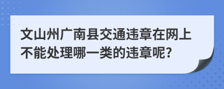 文山州广南县交通违章在网上不能处理哪一类的违章呢?