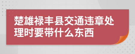 楚雄禄丰县交通违章处理时要带什么东西