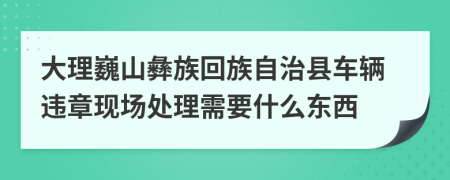 大理巍山彝族回族自治县车辆违章现场处理需要什么东西