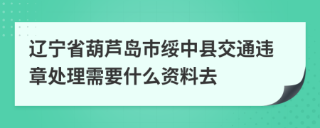 辽宁省葫芦岛市绥中县交通违章处理需要什么资料去