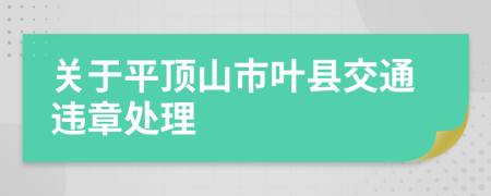 关于平顶山市叶县交通违章处理