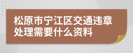 松原市宁江区交通违章处理需要什么资料