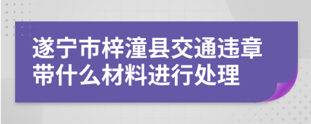 遂宁市梓潼县交通违章带什么材料进行处理