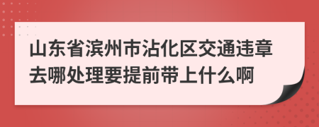 山东省滨州市沾化区交通违章去哪处理要提前带上什么啊