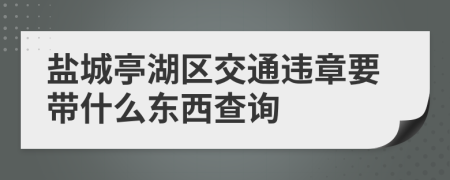 盐城亭湖区交通违章要带什么东西查询