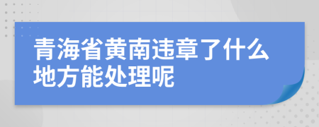 青海省黄南违章了什么地方能处理呢