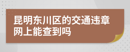 昆明东川区的交通违章网上能查到吗