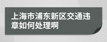 上海市浦东新区交通违章如何处理啊