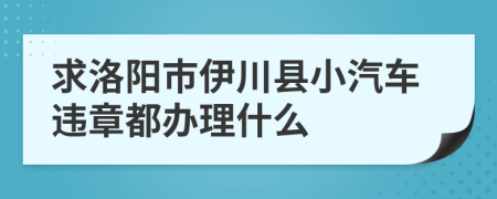求洛阳市伊川县小汽车违章都办理什么