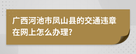 广西河池市凤山县的交通违章在网上怎么办理?