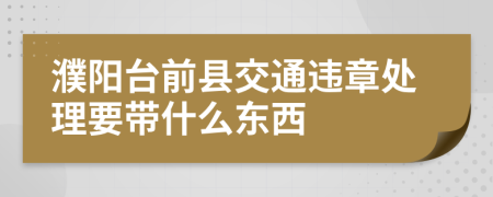 濮阳台前县交通违章处理要带什么东西