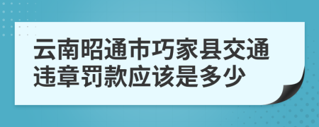 云南昭通市巧家县交通违章罚款应该是多少