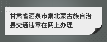 甘肃省酒泉市肃北蒙古族自治县交通违章在网上办理