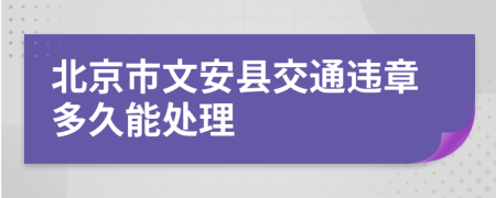 北京市文安县交通违章多久能处理