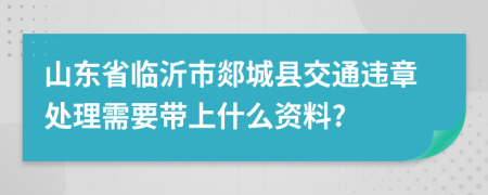 山东省临沂市郯城县交通违章处理需要带上什么资料?