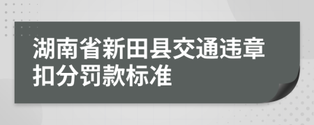 湖南省新田县交通违章扣分罚款标准