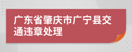 广东省肇庆市广宁县交通违章处理