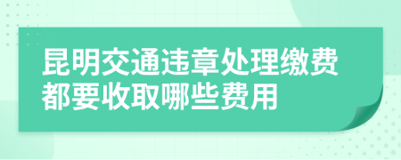 昆明交通违章处理缴费都要收取哪些费用