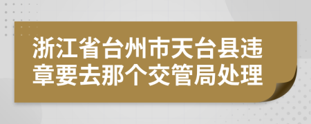 浙江省台州市天台县违章要去那个交管局处理