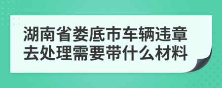 湖南省娄底市车辆违章去处理需要带什么材料