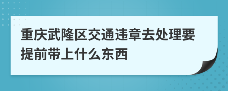 重庆武隆区交通违章去处理要提前带上什么东西