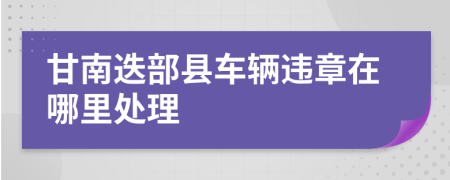 甘南迭部县车辆违章在哪里处理