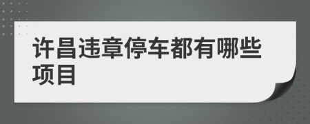 许昌违章停车都有哪些项目