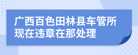 广西百色田林县车管所现在违章在那处理
