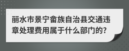 丽水市景宁畲族自治县交通违章处理费用属于什么部门的?