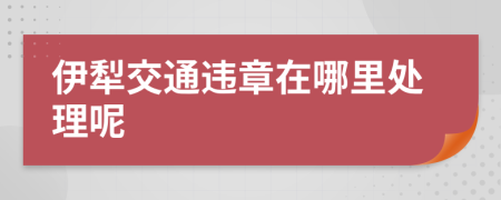 伊犁交通违章在哪里处理呢