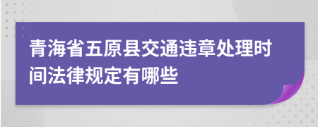 青海省五原县交通违章处理时间法律规定有哪些