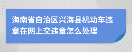 海南省自治区兴海县机动车违章在网上交违章怎么处理