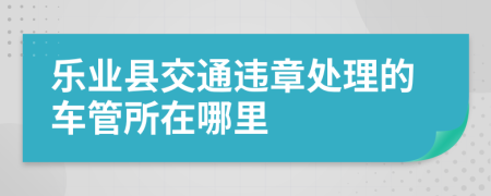 乐业县交通违章处理的车管所在哪里
