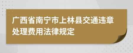广西省南宁市上林县交通违章处理费用法律规定