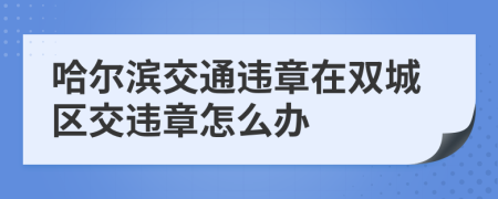 哈尔滨交通违章在双城区交违章怎么办