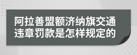 阿拉善盟额济纳旗交通违章罚款是怎样规定的