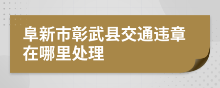 阜新市彰武县交通违章在哪里处理