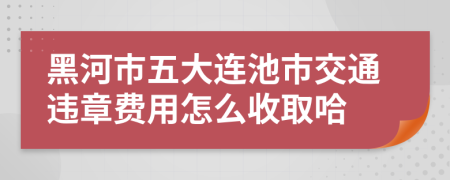 黑河市五大连池市交通违章费用怎么收取哈