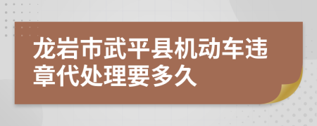 龙岩市武平县机动车违章代处理要多久