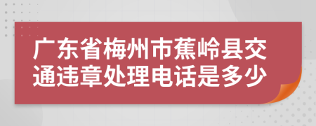 广东省梅州市蕉岭县交通违章处理电话是多少