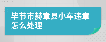 毕节市赫章县小车违章怎么处理