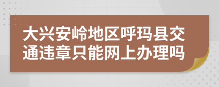 大兴安岭地区呼玛县交通违章只能网上办理吗