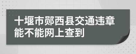 十堰市郧西县交通违章能不能网上查到