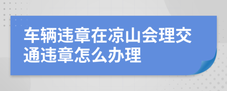 车辆违章在凉山会理交通违章怎么办理